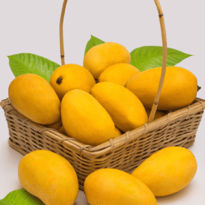 Chaunsa Mango