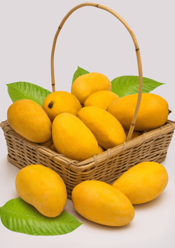 Chaunsa Mango